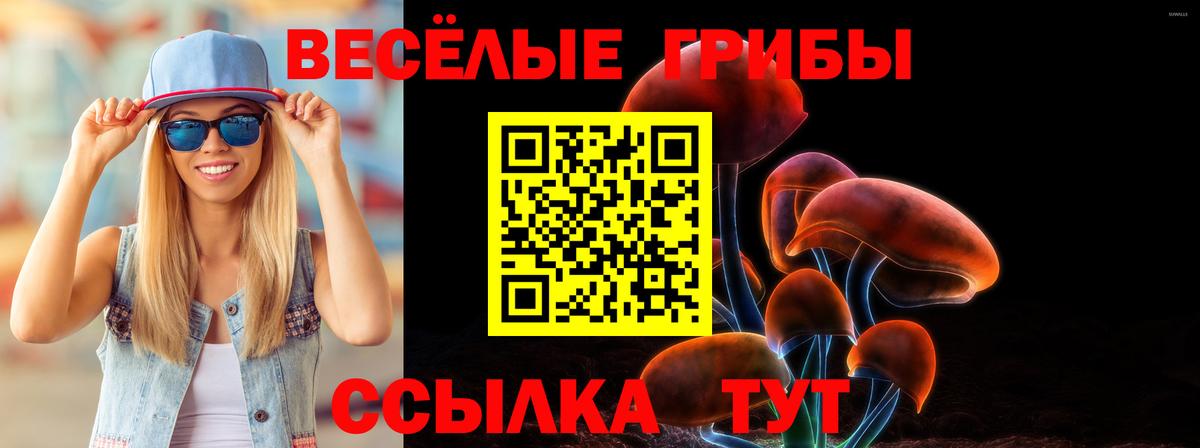 Королёв  Псилоцибиновые грибы Psilocybe  Галлюциногенные грибы ЛСД  Вход с VPN 