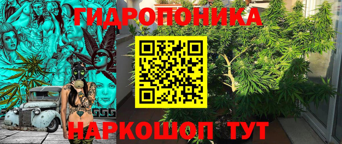Марихуана гибрид  Бошки Шишки Amnesia  Вход с VPN  Королёв  Конопля AK-47 